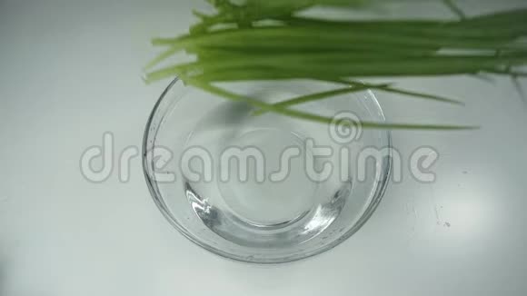 绿色洋葱的茎落在白色背景的桌子上的一个玻璃碗里清澈的水慢动作新鲜的视频的预览图