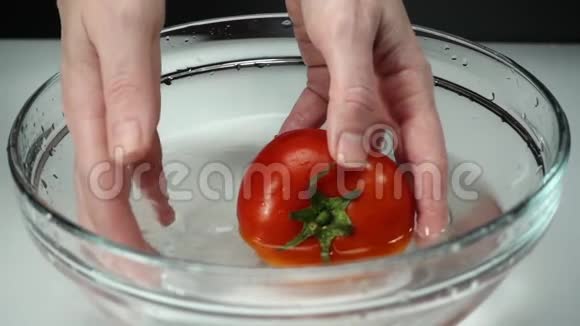 雌性手拿着一个成熟的西红柿在一碗水中慢动作女厨师用青茎洗一个红番茄视频的预览图