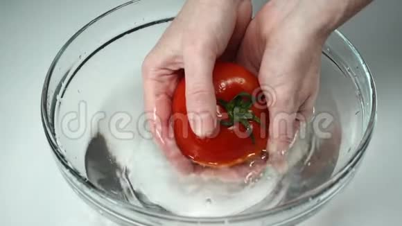 慢动作女性双手用清水洗净成熟的红番茄新鲜多汁番茄女厨师手中有绿色茎视频的预览图