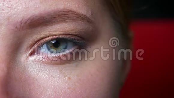 白种人模特华丽的绿眼在化妆中俯视镜头直聚焦室内自然的外观红色视频的预览图