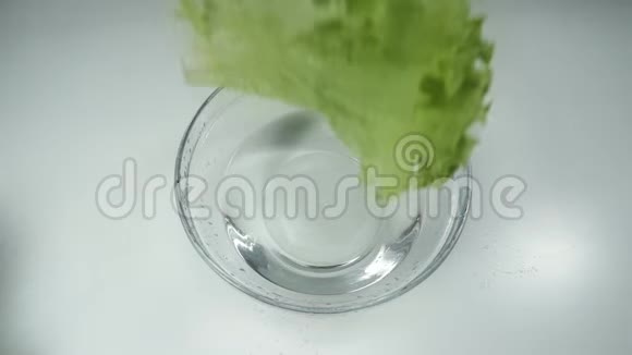 莴苣掉落和水溅慢动作新鲜的绿色莴苣叶放在白色的玻璃碗里视频的预览图