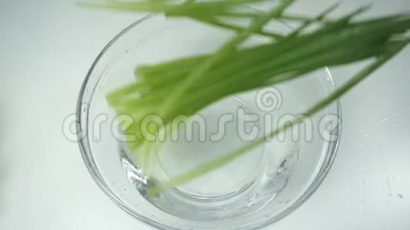 慢动作一束葱落在一碗水里新鲜葱茎在玻璃碗白色背景视频的预览图