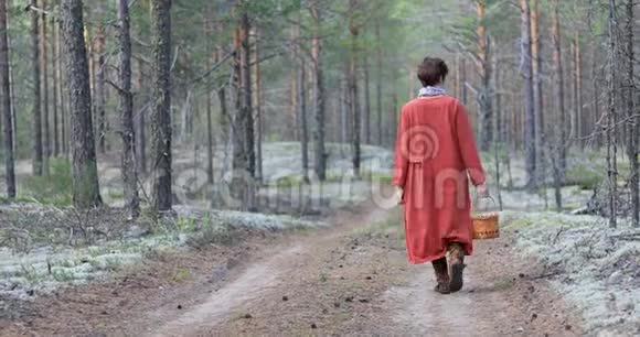 一个带着篮子的女孩穿过树林采摘浆果视频的预览图