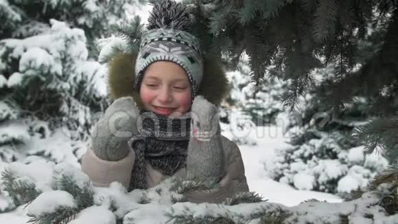 快乐的小女孩站在杉树下和小猫一起玩手工手套冬天的森林美丽的风景视频的预览图
