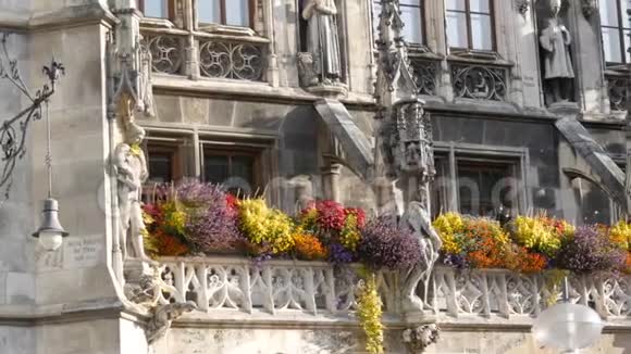 德国慕尼黑2019年10月25日慕尼黑新市政厅用各种盛开的花朵装饰Marienplatz视频的预览图