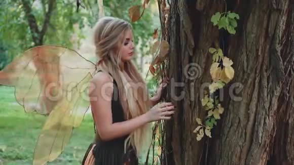 漂亮漂亮的漂亮姑娘站在绿色的裙子上抱着一棵大树一位身后长着仙女翅膀的迷人女士视频的预览图