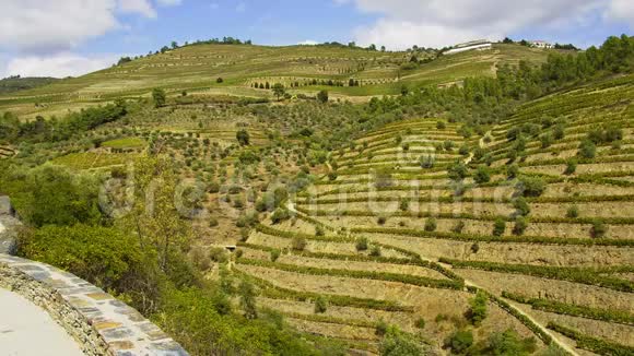 葡萄牙杜罗谷令人惊叹的风景和著名的葡萄园视频的预览图