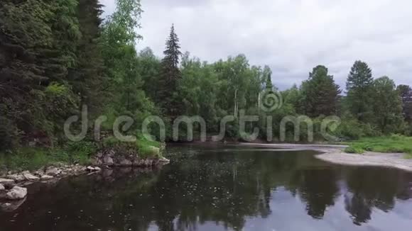 灰蒙蒙的天空背景上绿松树环绕着平静的森林河流库存录像针叶树视频的预览图