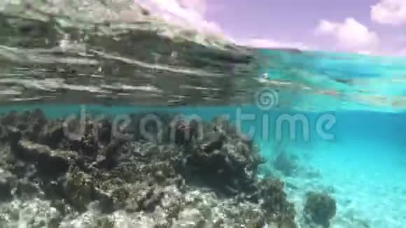 博内尔岛的度假村和珊瑚视频的预览图