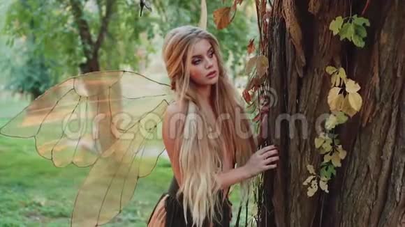 苗条迷人的女孩浅厚的头发温柔整洁的发型从树后面往外看偷偷地看着视频的预览图