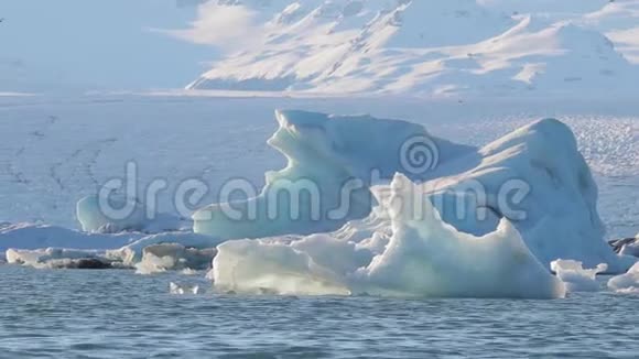 冰湖带鸟视频的预览图