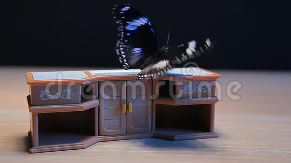 玩具塑料厨房蝴蝶桌深色背景高清镜头视频的预览图
