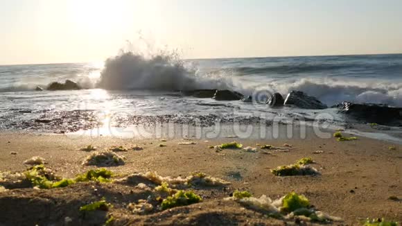 海上日出的画面美丽的巨浪撞击在保加利亚黑海岩石海岸视频的预览图