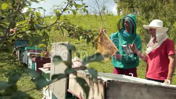 两个穿绿色和红色特别服装的养蜂人收集蜂蜜视频的预览图