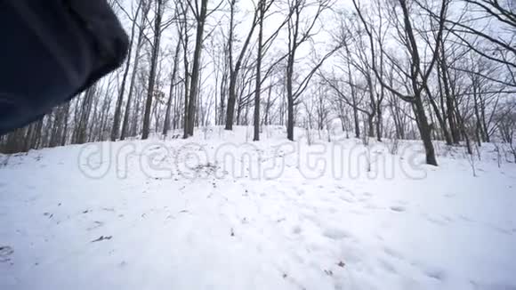 在寒假期间父亲把他的小女儿从白雪皑皑的山上滑下来视频的预览图