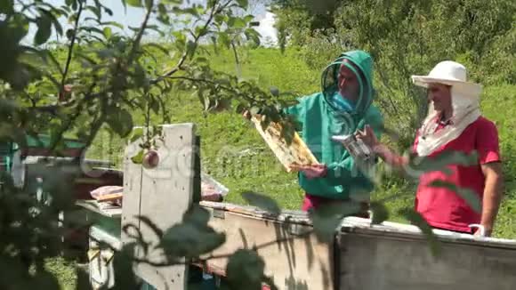 两个穿绿色和红色特别服装的养蜂人收集蜂蜜视频的预览图