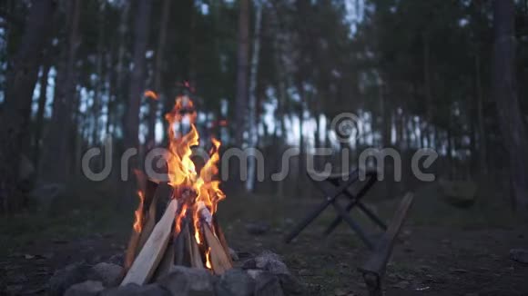 在美丽的黄昏森林里是一场火旁边是椅子和斧头美丽的篝火在森林里燃烧视频的预览图