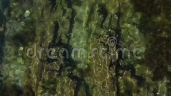 海水中有沙子和石头的海床俯视近景视频的预览图