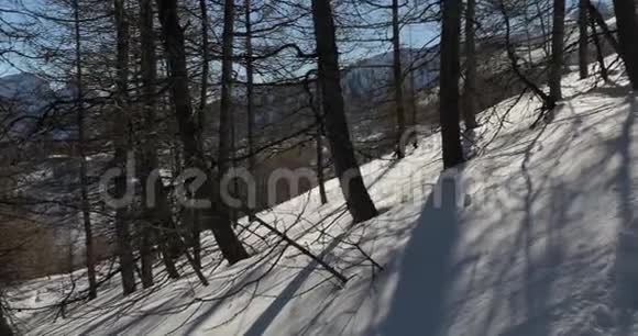 冬季森林在大雪中徒步旅行视频的预览图
