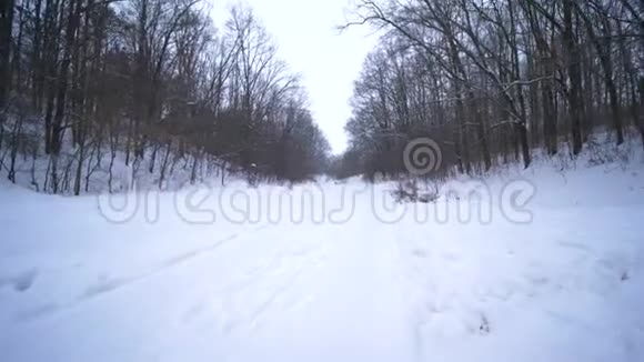 冬天在森林里度假爸爸和孩子们一起在雪道上奔跑手拿雪橇视频的预览图