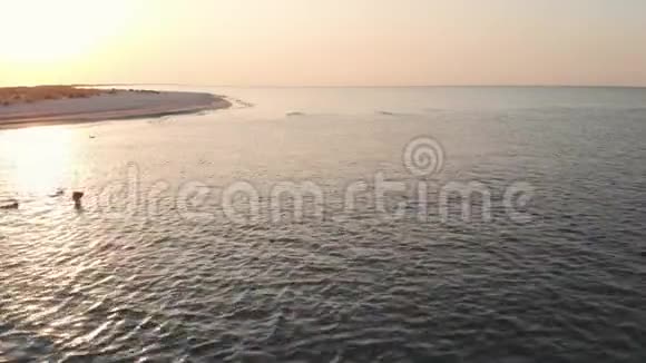 日落时平静海面上的涟漪视频的预览图
