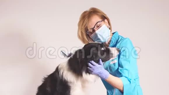 女洗手梳邋遢狗在房间里的发型视频的预览图