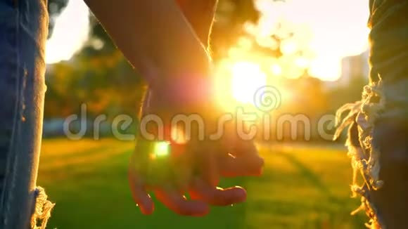 充满灵感的散步情侣牵着手在绿色的夏日公园向树爱和幸福的方向移动视频的预览图