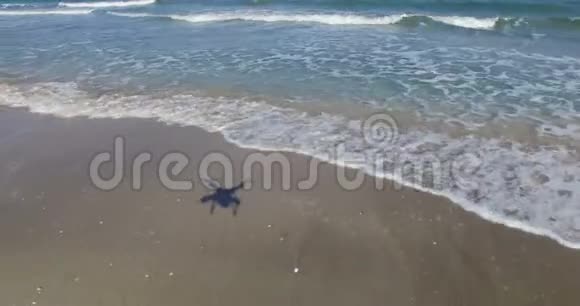 保加利亚波莫里度假胜地无边的沙滩视频的预览图