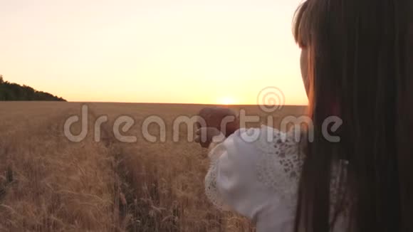 年轻女子手掌上的美味面包在夕阳的照耀下女孩手中的面包在麦田上关闭视频的预览图