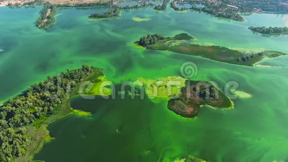 广袤的河流绿岛和水中的绿藻视频的预览图