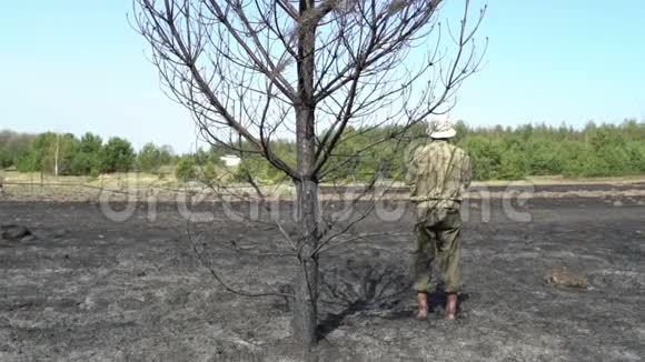 野火生态灾难绝望和绝望之后孤独的人站在被烧毁的树下视频的预览图