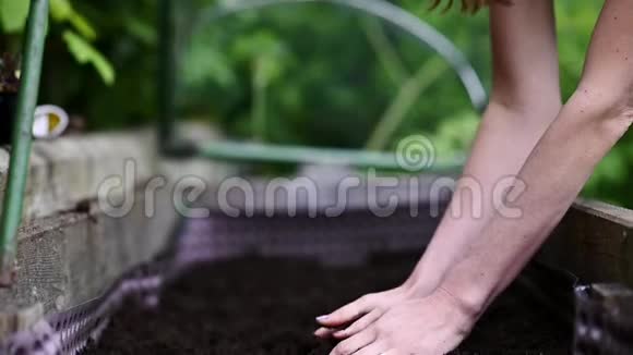 女人手里握着肥沃的土壤视频的预览图