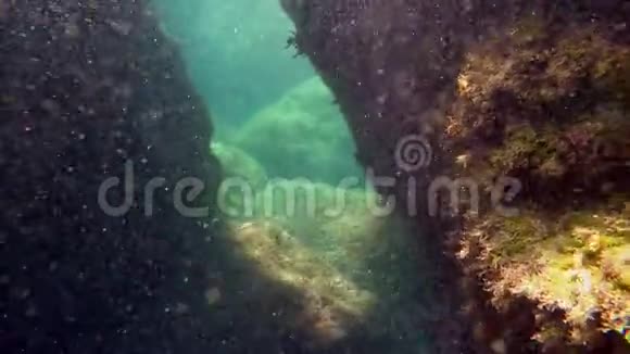 一个人在水下洞穴里游泳视频的预览图