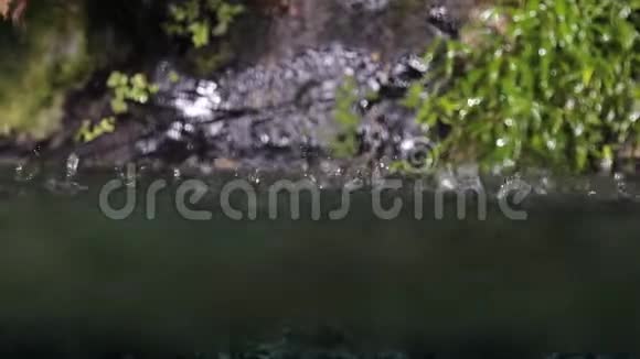 雨滴在池塘或河流中雨天背景在春天关闭雨滴视频的预览图