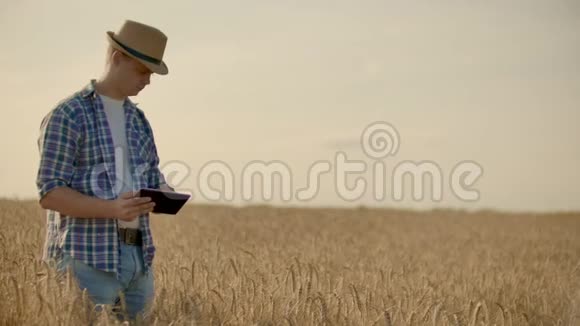 一个戴着帽子穿着牛仔裤戴着防癌药片的男人看着黑麦和大麦的芽检查种子视频的预览图