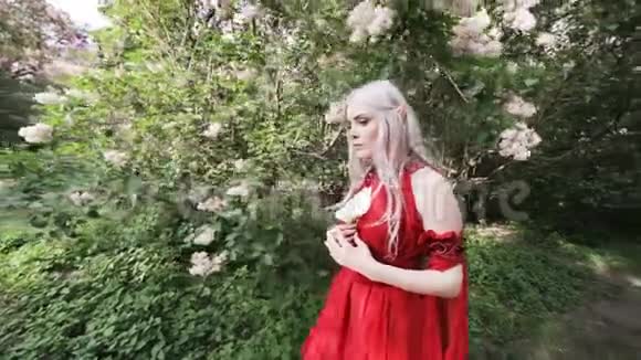 公园里有个穿着红色裙子的女精灵视频的预览图