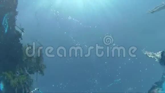 女孩在游泳池的顶部游泳从下面射击视频的预览图