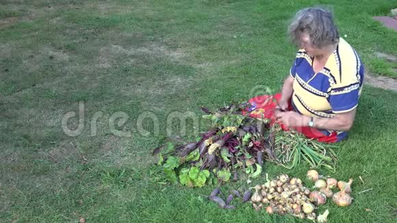 老妇人坐在草地上加工新鲜的甜菜根蔬菜4K视频的预览图