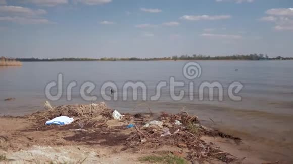 大自然的环境污染肮脏河流上的塑料垃圾和野鸟在水中游泳视频的预览图