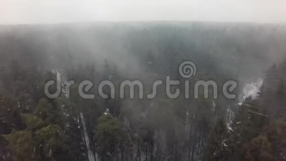 暴雪与常青林鸟瞰视频的预览图