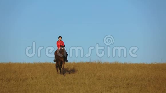马平静地走在田野上一个女孩坐在马鞍上慢动作视频的预览图