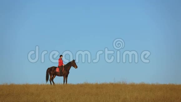 骑着马在田里散步的女孩拍拍他慢动作视频的预览图