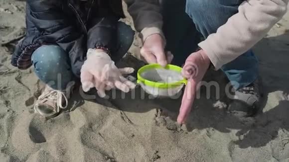 海滩上有微塑料的科兰德视频的预览图