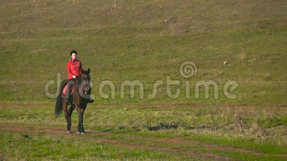 骑着一匹马穿过一片绿色的田野慢动作视频的预览图