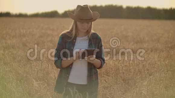 一个穿着衬衫和牛仔裤的女农场主在田里拿着一块黑麦片摸着小穗按着她的手指视频的预览图