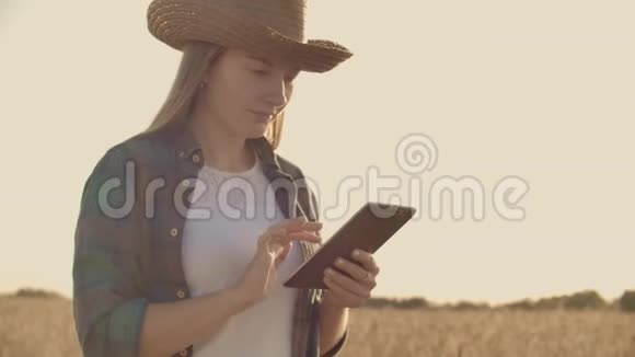 一位农民妇女用黑麦片在田里散步她的特写镜头触到小穗把手指按在小穗上视频的预览图