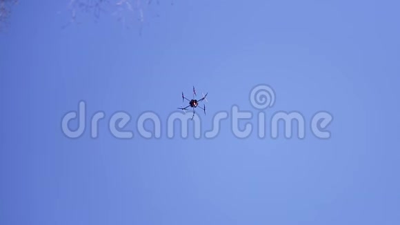 底部的无人机与旋转叶片飞行在蓝天剪辑带旋转叶片的四翼直升机视频的预览图