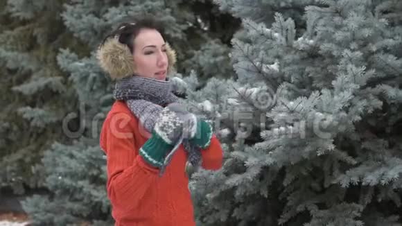 女人在冬天的森林里摆姿势美丽的风景和雪杉树视频的预览图