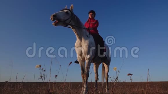 田里一匹白马上的马女站着欣赏风景慢动作视频的预览图