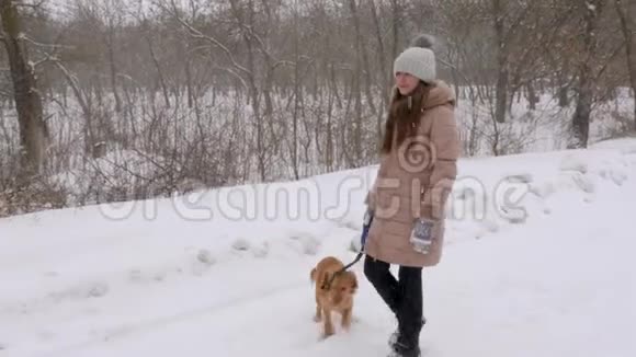 女孩和狗在雪道上散步在冬天在暴风雪中微笑视频的预览图